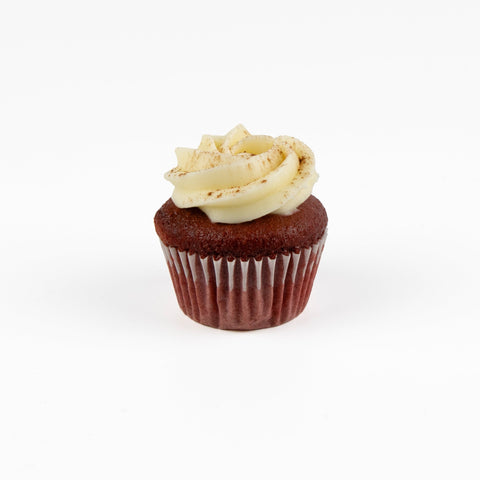 Red Velvet with Cocoa Dusting 12 Pack